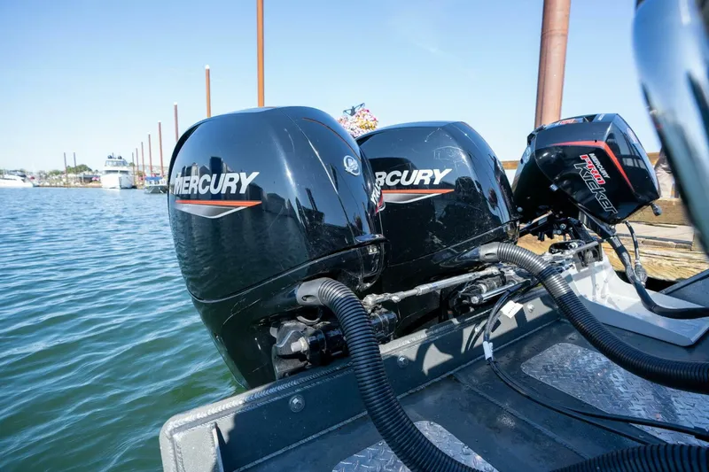 Slide: The Image of Kingfisher 28 2022 - 5124167