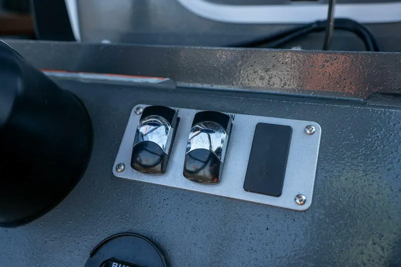 Slide: The Image of Kingfisher 28 2022 - 5124177