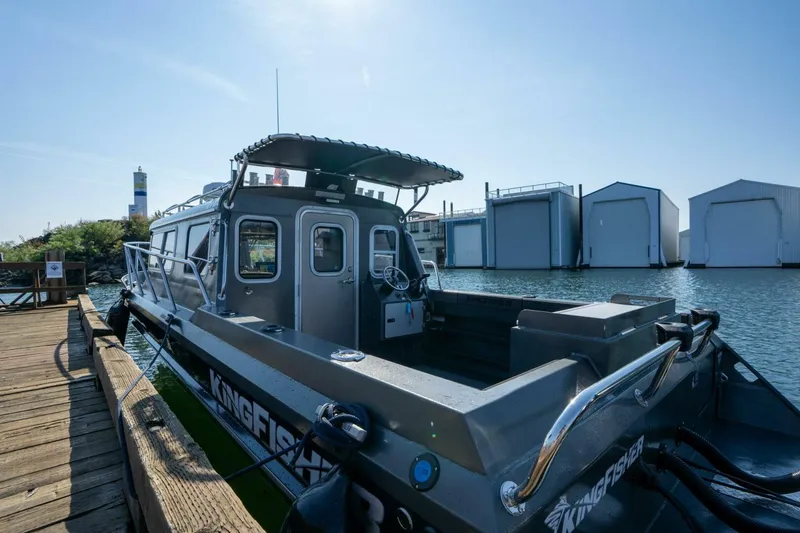 Slide: The Image of Kingfisher 28 2022 - 5124178