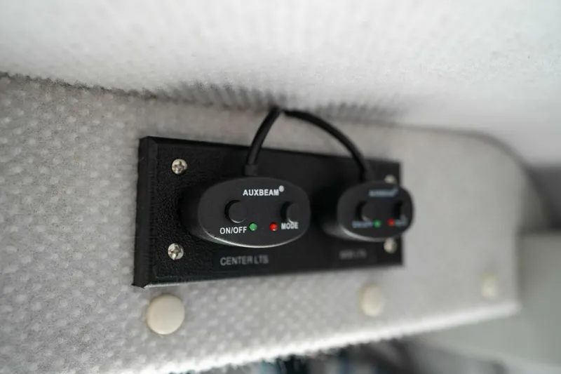 Slide: The Image of Kingfisher 28 2022 - 5124194