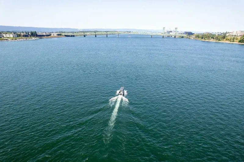 Slide: The Image of Kingfisher 28 2022 - 5124199