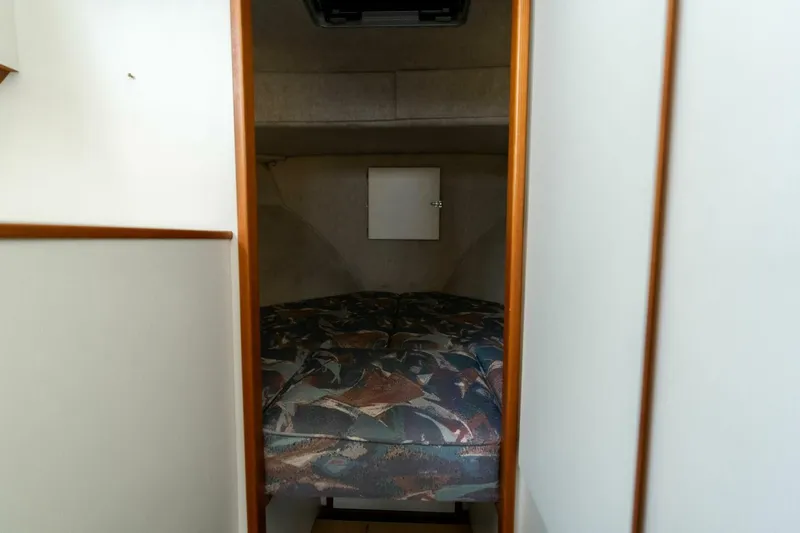 Slide: The Image of Camano 31 1995 - 5124576