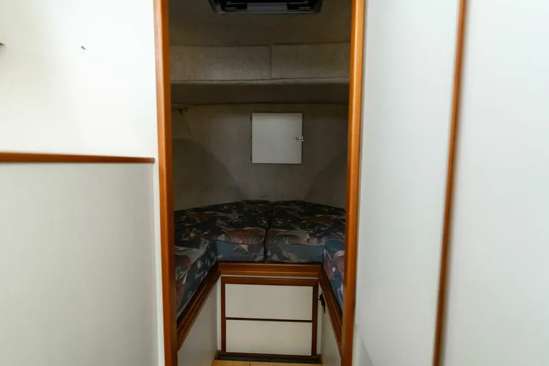 Slide: The Image of Camano 31 1995 - 5124577