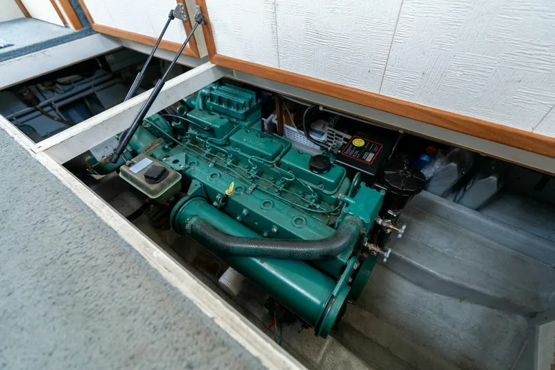 Slide: The Image of Camano 31 1995 - 5124607