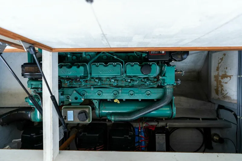 Slide: The Image of Camano 31 1995 - 5124608