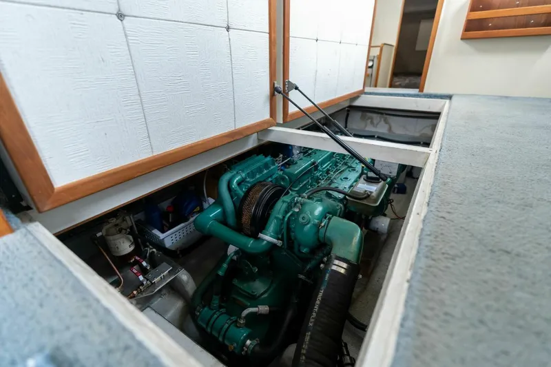 Slide: The Image of Camano 31 1995 - 5124609