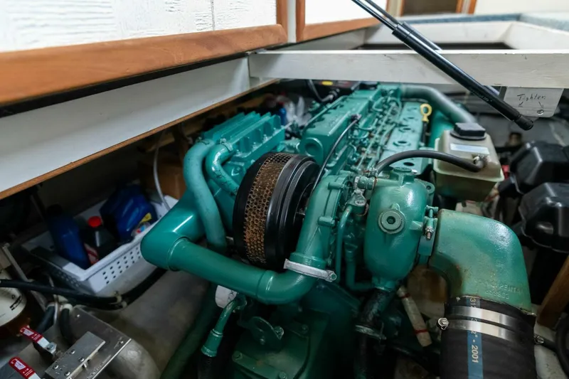 Slide: The Image of Camano 31 1995 - 5124610