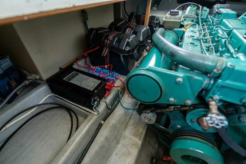 Slide: The Image of Camano 31 1995 - 5124611