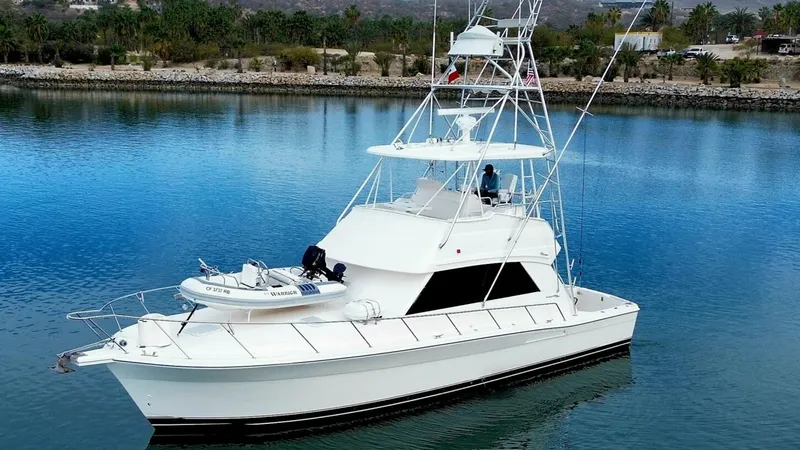 The Image of 2001 43 Riviera Convertible -  Warrior Profile - 6433837