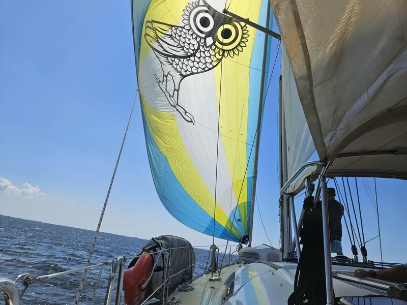 Slide: The Image of Asymmetrical Spinnaker Athena, 2011 Beneteau 49 - 5125931