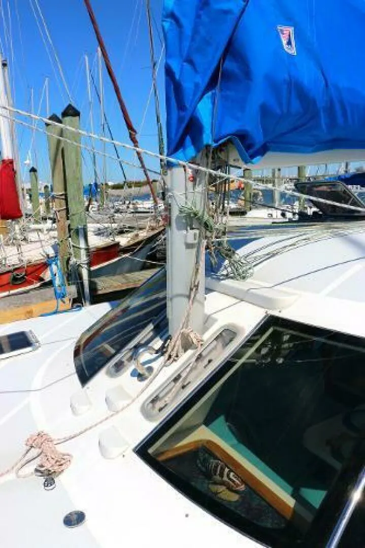 Slide: The Image of Wildcat 350 2004 - 5126174