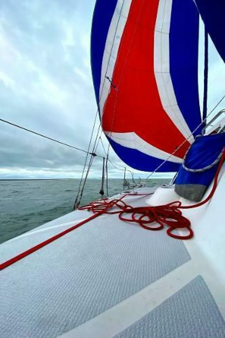 Slide: The Image of Wildcat 350 2004 - 5126178