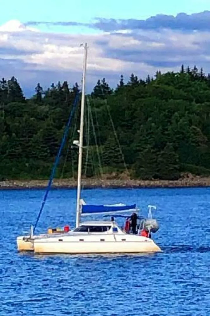 Slide: The Image of Wildcat 350 2004 - 5126250