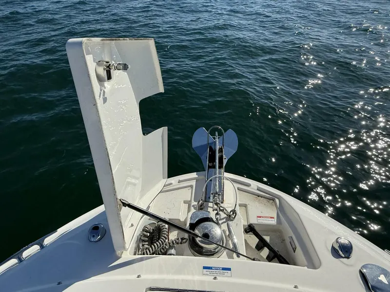 Slide: The Image of Sea Ray 310 SLX 2019 - 5134769