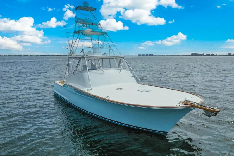 Slide: The Image of 2006 Buddy Davis 48 Express PALE HORSE - 5289800