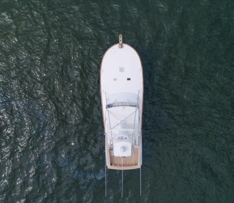 Slide: The Image of Buddy Davis 48 Express 2006 - 5289808