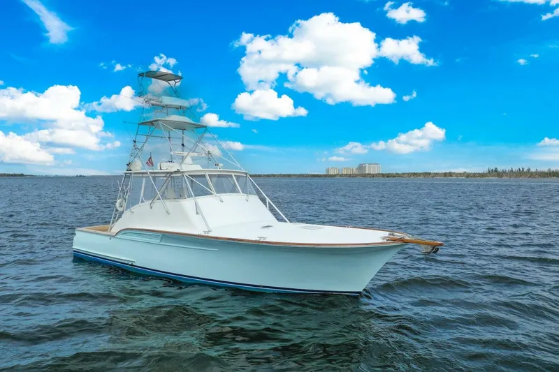 Slide: The Image of Buddy Davis 48 Express 2006 - 5289796