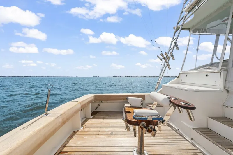 Slide: The Image of 2006 Buddy Davis 48 Express PALE HORSE - 5289865