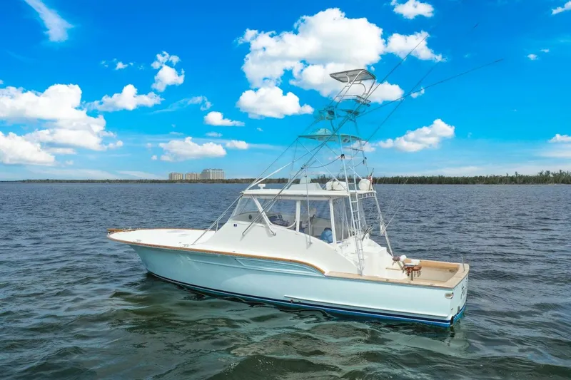 Slide: The Image of 2006 Buddy Davis 48 Express PALE HORSE - 5289803