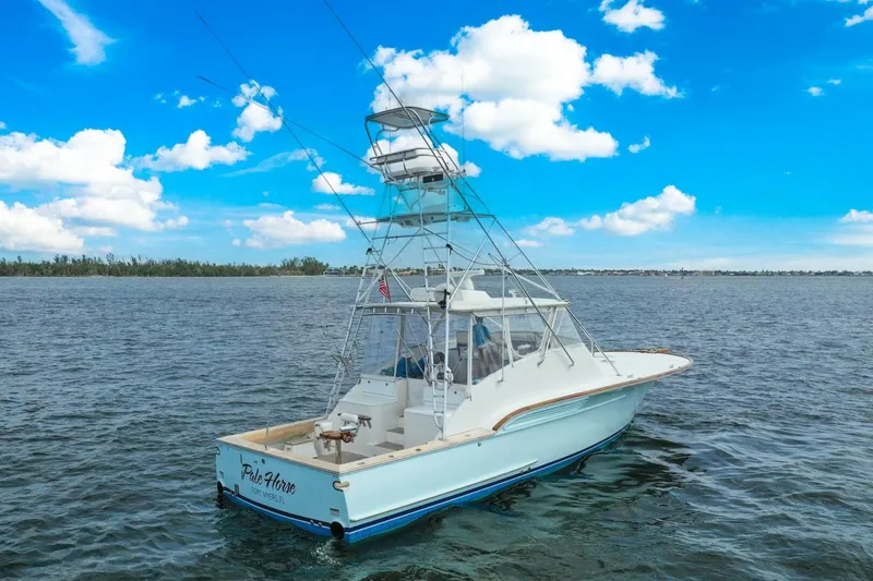 Slide: The Image of 2006 Buddy Davis 48 Express PALE HORSE - 5289802