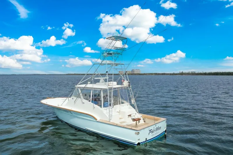 Slide: The Image of 2006 Buddy Davis 48 Express PALE HORSE - 5289804