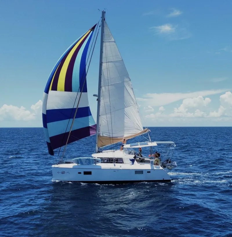 The Image of Lagoon 42 2009 - 5141681