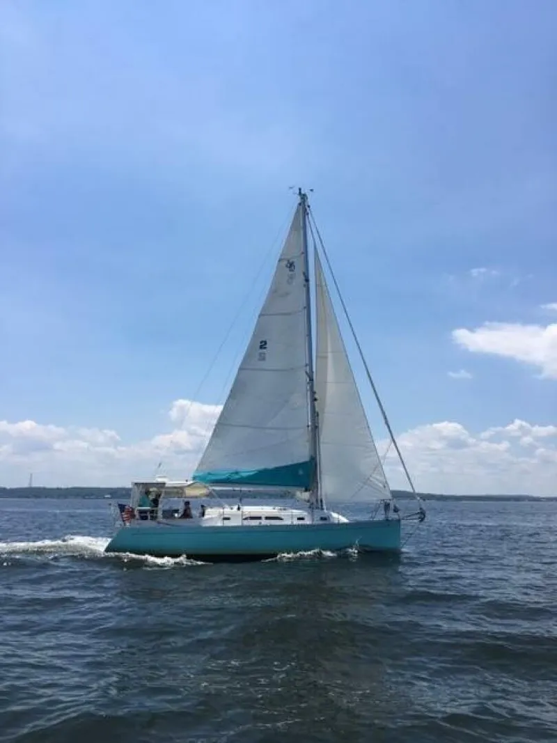 The Image of Shannon 35 2005 - 5141830