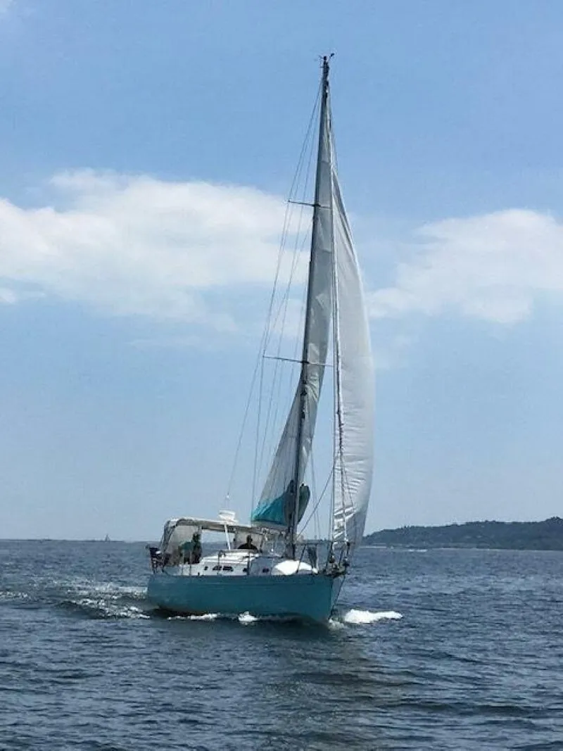 Slide: The Image of Shannon 35 2005 - 5141829