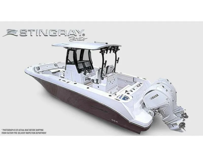 Slide: The Image of Stingray 253CC 2025 - 5142646