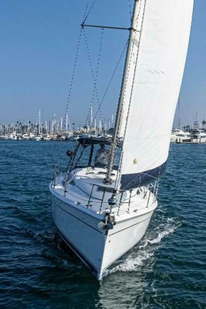 Slide: The Image of Hunter 38 2006 - 5143205