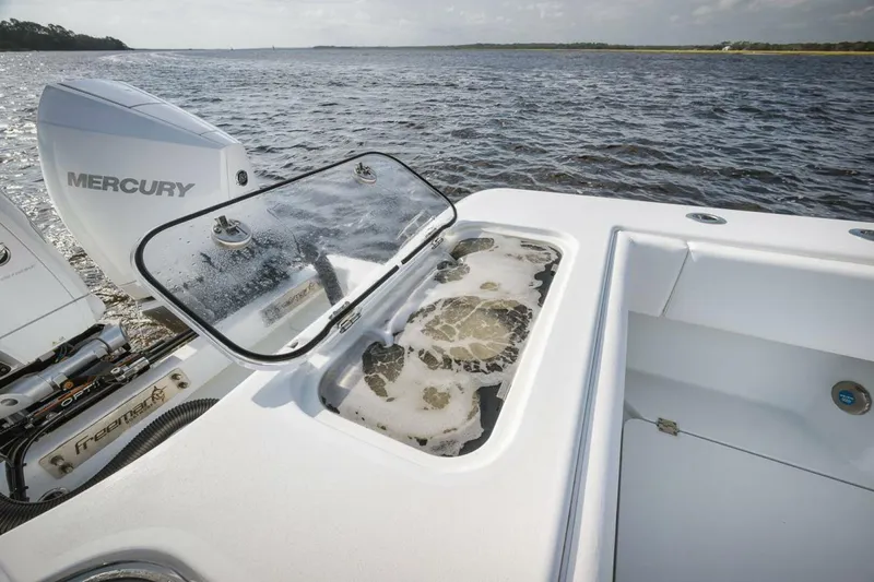 Slide: The Image of Freeman 47 2023 - 5142928