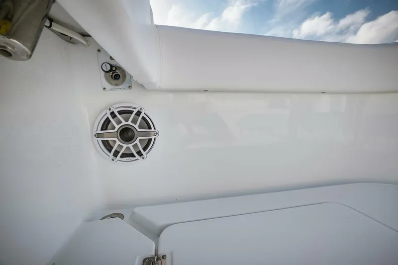 Slide: The Image of Freeman 47 2023 - 5142933