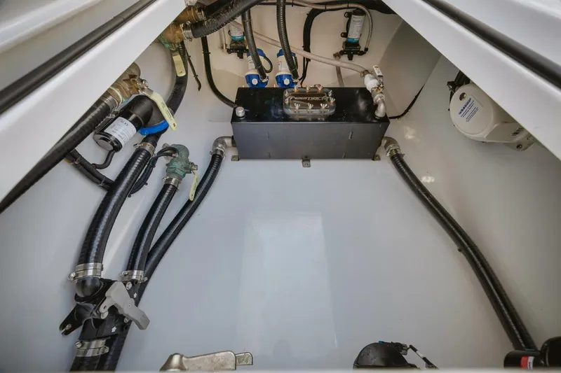 Slide: The Image of Freeman 47 2023 - 5142934