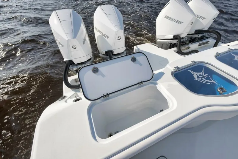 Slide: The Image of Freeman 47 2023 - 5142936