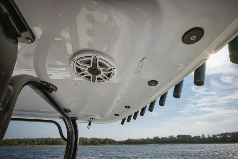 Slide: The Image of Freeman 47 2023 - 5142944