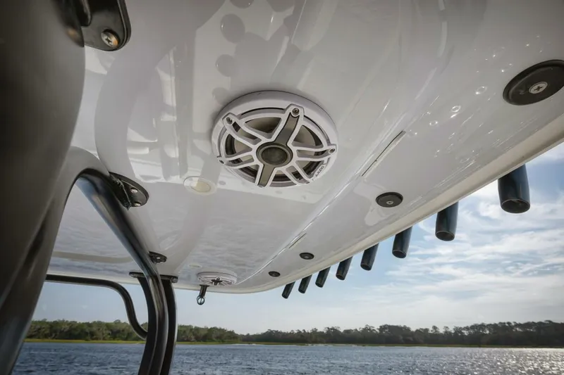 Slide: The Image of Freeman 47 2023 - 5142946