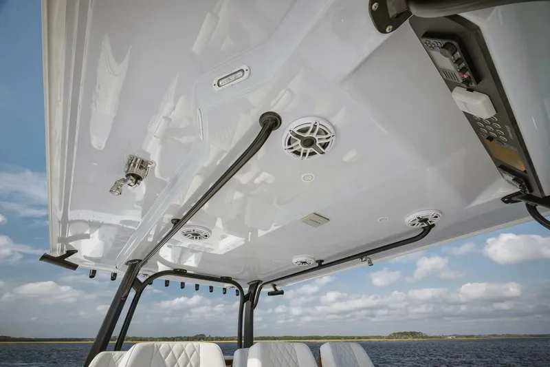 Slide: The Image of Freeman 47 2023 - 5142958