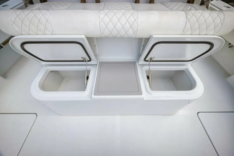 Slide: The Image of Freeman 47 2023 - 5142987