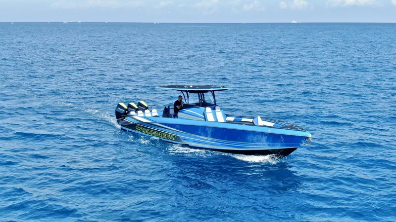 The Image of Statement 38 2022 - 5235920