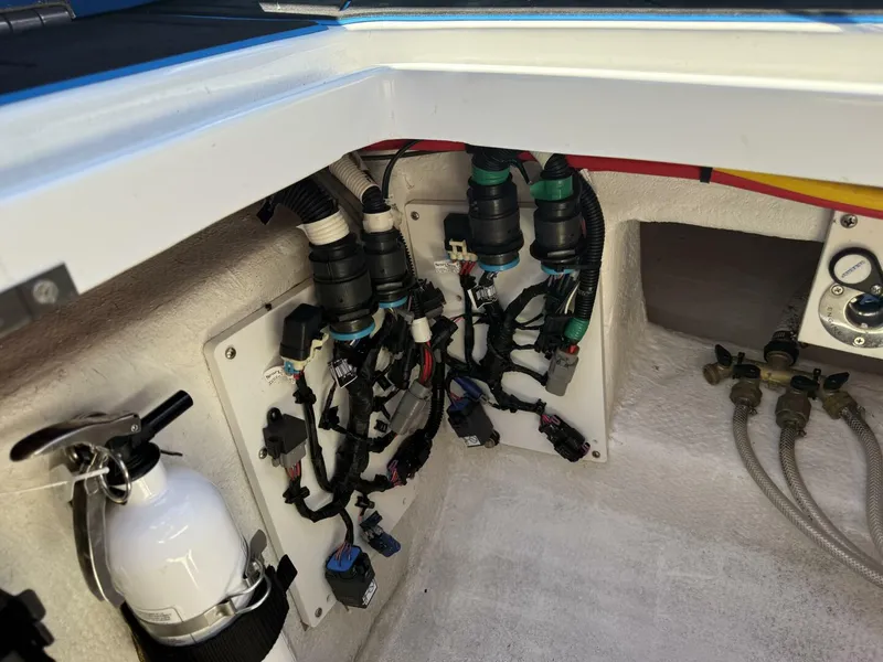 Slide: The Image of Statement 38 2022 - 5236051