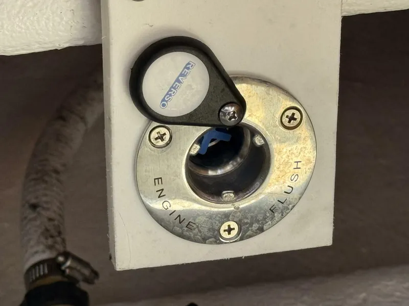 Slide: The Image of Statement 38 2022 - 5236052