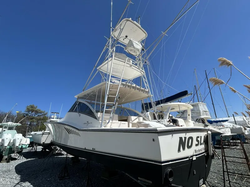 Slide: The Image of Albemarle 41 Open 2002 - 5148827