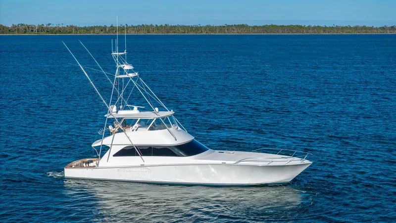 The Image of Viking 74 2004 - 5173018