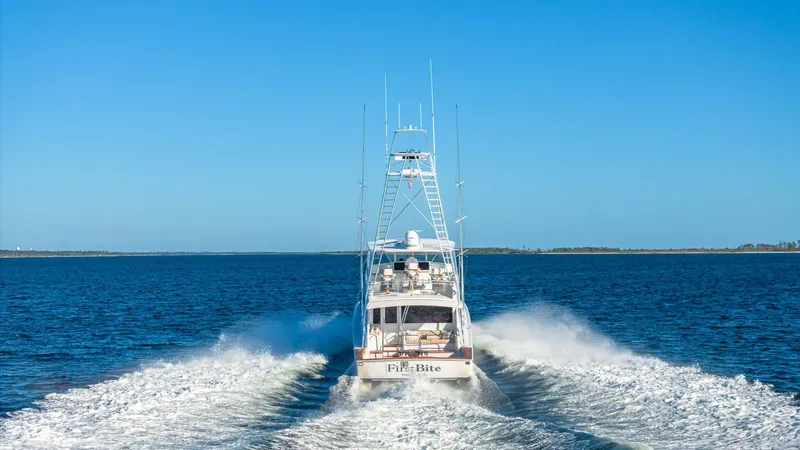 Slide: The Image of Viking 74 2004 - 5173021