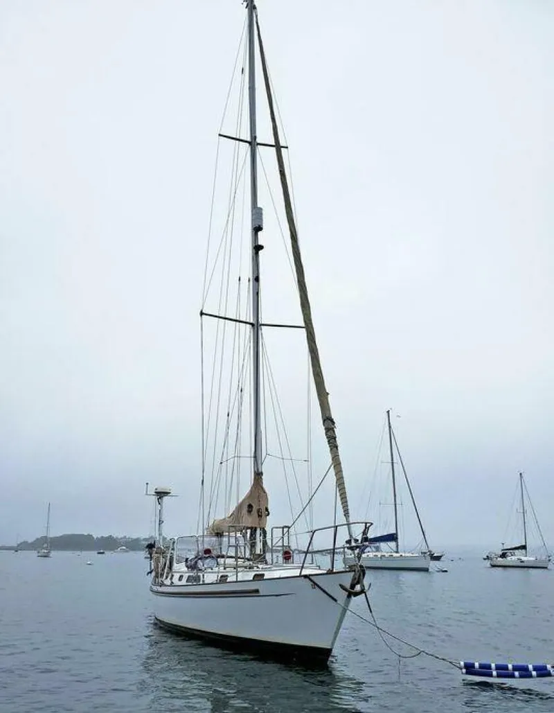 Slide: The Image of Passport 40 1985 - 5191445