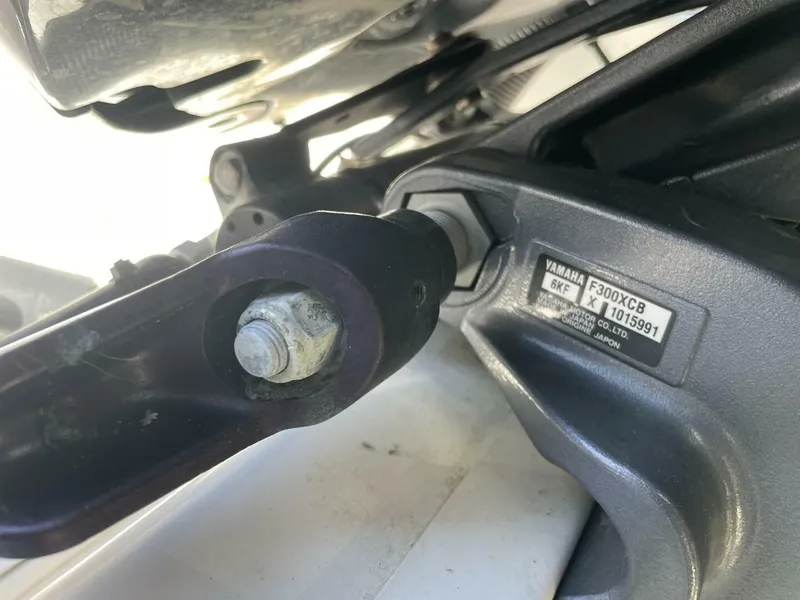 Slide: The Image of Sea Fox 28 2024 - 5161167