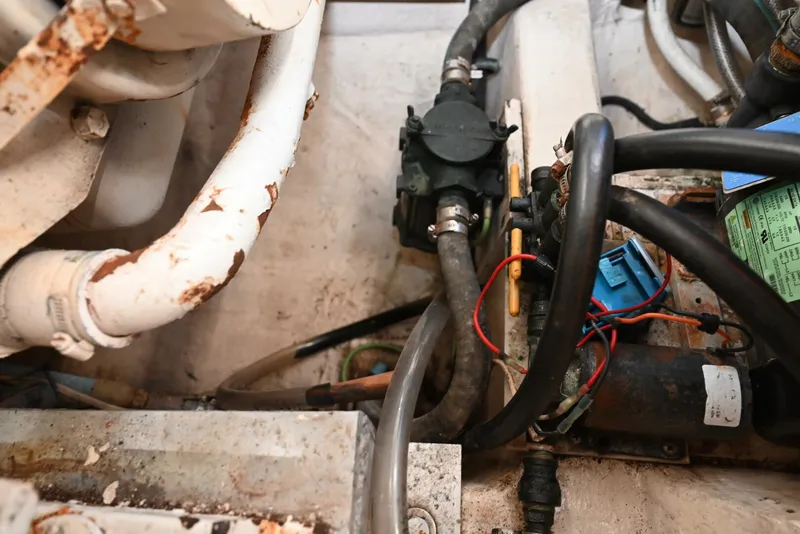 Slide: The Image of Californian 45 1989 - 5205960