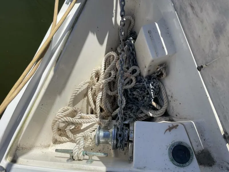 Slide: The Image of Catalina 42 - 5162858