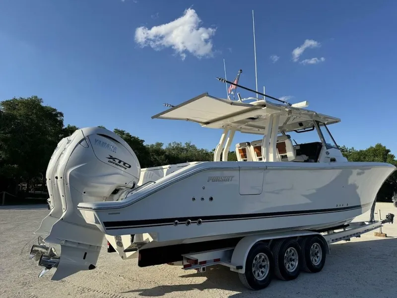 Slide: The Image of Pursuit S358 2024 - 5163372