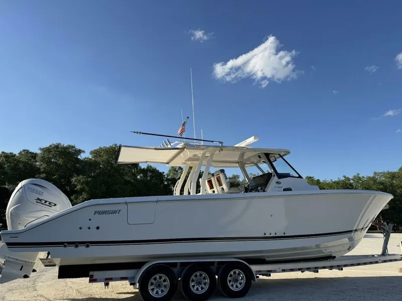 Slide: The Image of Pursuit S358 2024 - 5163373